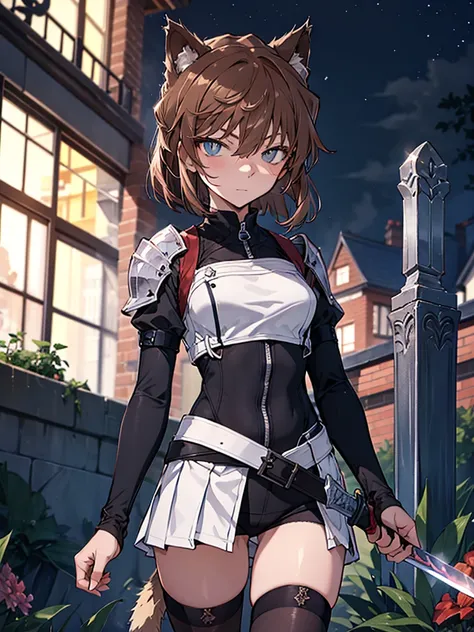 Haibara Ai、girl、one person、brown hair、Cat ear、cat tail、Western armor、knight、prepare a sword、excalibur、night、cemetery、UHD, retina, masterpiece, ccurate, anatomically correct, textured skin, high details, best quality