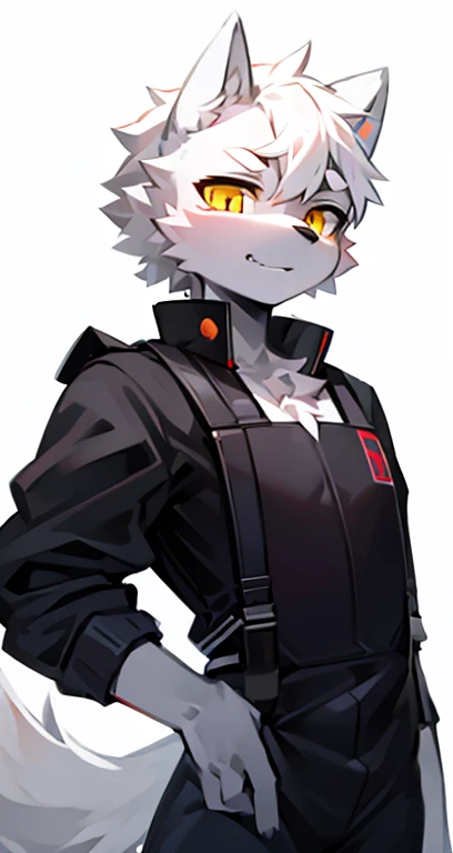 cyber punk perssonage，epcot，Tech style，solo person，White body，White ears，White hair，Overall white，Orange-yellow eyes，Wolf tail，Wolf orcs，Young，Wear a short-sleeved shirt，Ultra-clear screen，Soft lines