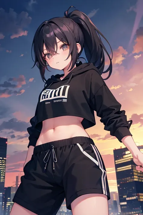 very good image, a cute beautiful anime tomboy girl, long black hair, ponytail, black crop top hoodie, black training pants, cit...