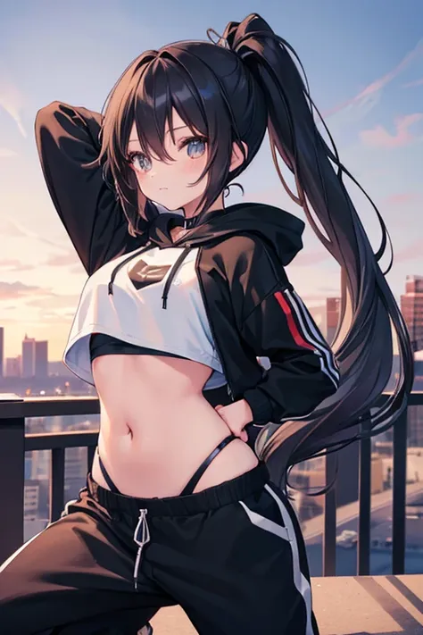 very good image, a cute beautiful anime tomboy girl, long black hair, ponytail, black crop top hoodie, black training pants, cit...