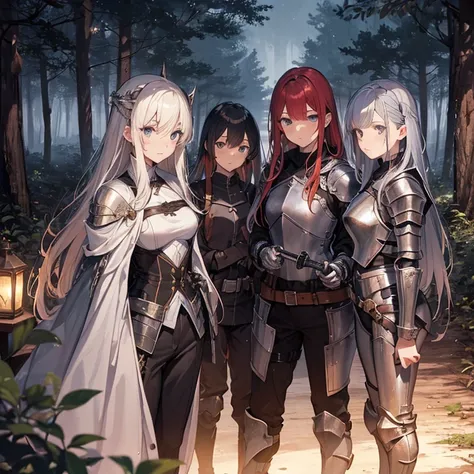 A group of  female knights, (in forest), various hair styles, harem, wearing armored clothes, metal armor, night, details face, trousers, seducing, sword,