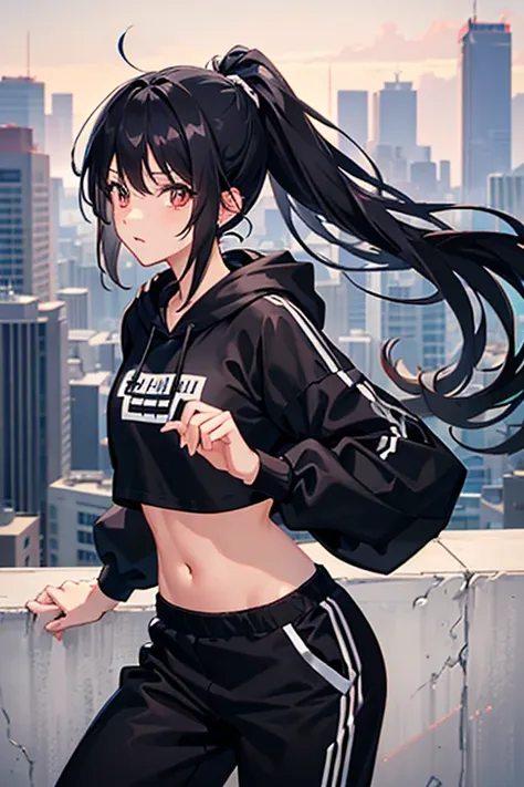 very good image, a cute beautiful anime tomboy girl, long black hair, hu tao , ponytail, white crop top hoodie, black training p...