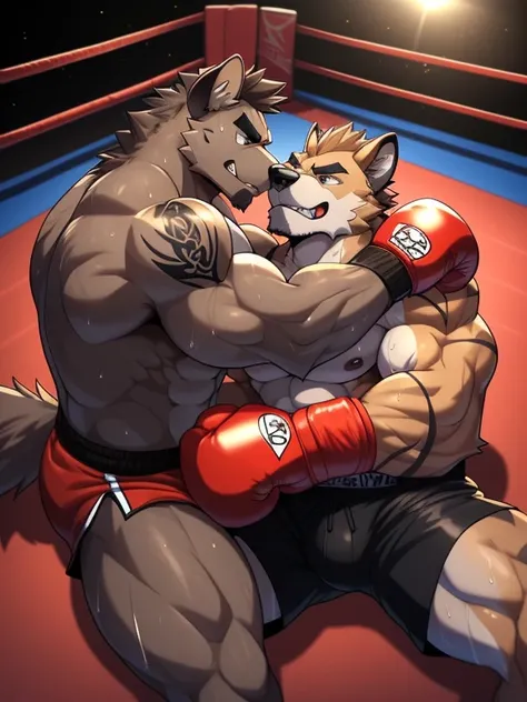 Duo male fighters(Brown Hyena vs Gray Hyena, handsomes, perfect eyes, Thick eyebrows), beso gay((Cuddling lying down embraced in a boxing match, back perspective)(cuddling body frottage)), hot(Full body, shirtless), handsomes(They are handsomes, correct an...