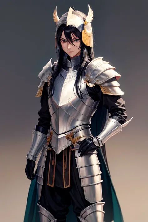 Male human, Indian, slim, toned, long black hair, hazel-green eyes. Wearing steel full-plate armor with helm.