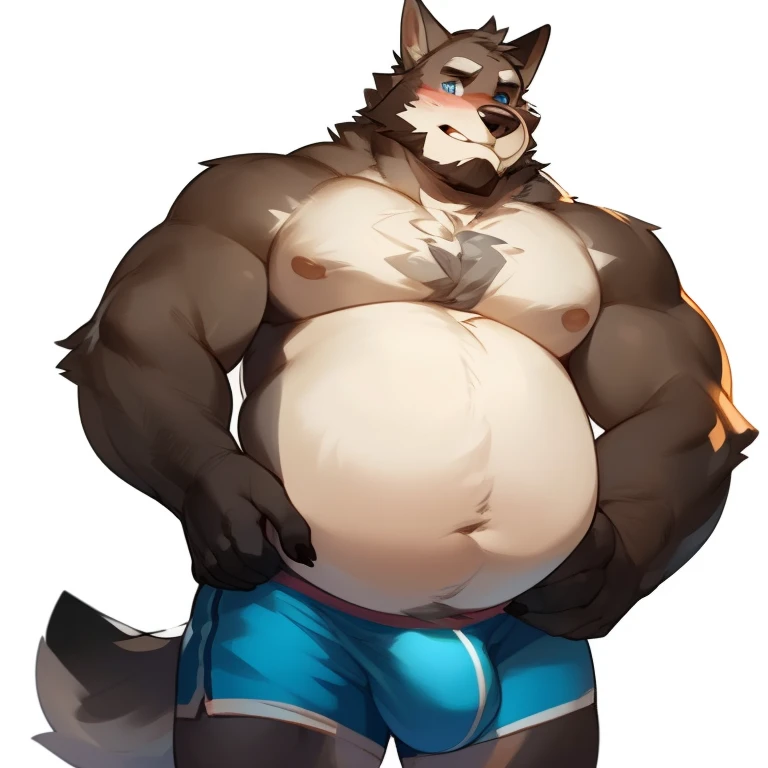 solo, male, werewolf, wolf, canine, chubby, musclegut, round, round belly, belly, pot belly, plump, swolen, mature male, dadbod, dad, facial hair, beard, embarrassed, chest fur, stomach fur, hands on belly, looking down at belly, grey fur, blue eyes, body ...