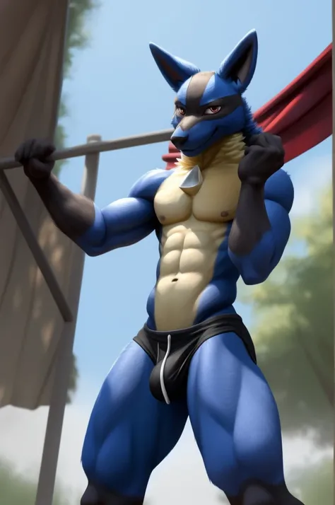 Lucario, anthro male, majestic hot pose, upper body,abs, pokemon 