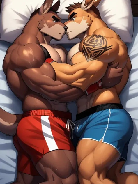 Duo male fighters(Brown Kangaroo vs Brown Kangaroo, handsomes, perfect eyes, Thick eyebrows), beso gay(Cuddling lying down embraced, Overlapping bodies in a bed match, back perspectiva, kissing each other), hot(Full body, shirtless), handsomes(They are han...