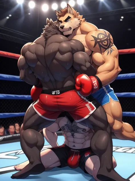 Duo male fighters(Gray Wolf vs Brown Wolf, handsomes, perfect eyes, Thick eyebrows), beso gay(Cuddling sit down above his bulge in the ground embraced from behind in a UFC match, back perspective), hot(Full body, shirtless), handsomes(They are handsomes, c...