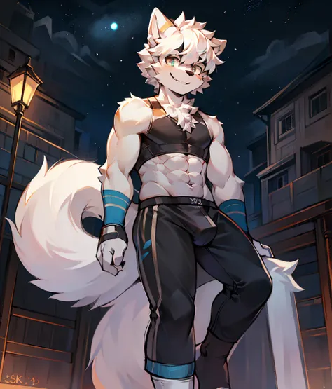 eyes with brightness, in a panoramic view，Character focus，Full body like，solo,solo person， Correct human anatomy,male people，Furry male wolf，eyes blue，White-colored skin， White hair(The long），White animal ears，blue，sexy wear，grey bulge，Sports socks，Looking...