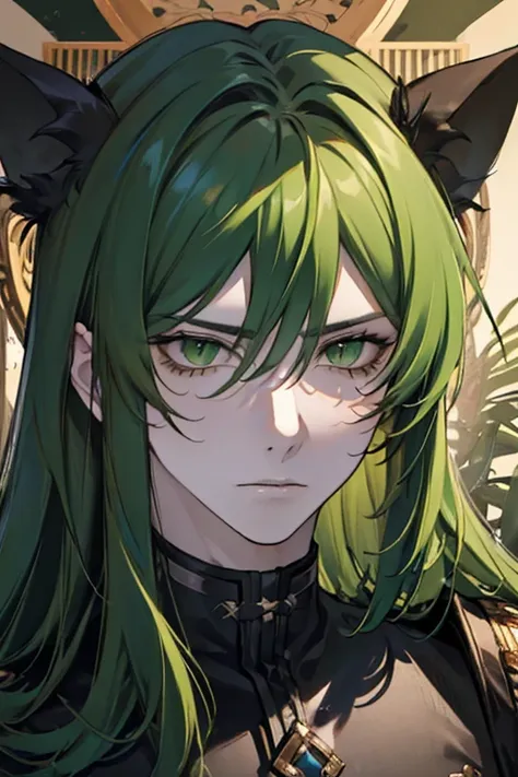 ((masterpiece)), High quality, ((Adult face)), ((long hair)), complex parts, (((boy))), high, long hair, (((green hair))), hair gathered in a ponytail, ((Snake Eyes,)), Leather Armor, Black clothes, ((irritated face)).