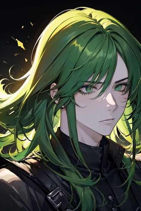 ((masterpiece)), High quality, ((Adult face)), ((long hair)), complex parts, (((boy))), high, long hair, (((green hair))), hair gathered in a ponytail, ((Snake Eyes,)), Leather Armor, Black clothes, ((irritated face)).