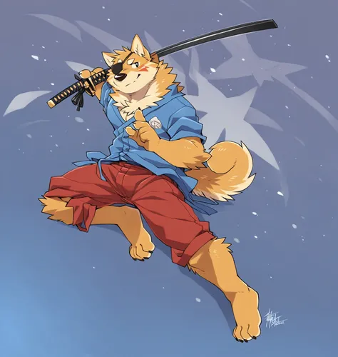 Anthropomorphic Shiba Inu，Blue clothes，Red pants，One holds a katana，One hand makes a seal gesture，barefoot，Plush paws，Fluffy tail，Takemoto Arashi，Slightly fat，Full figure，plump face，White sclera，Red pupil，Wear an eye patch over the right eye