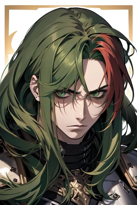 ((masterpiece)), High quality, ((Adult face)), ((long hair)), complex parts, ((1 guy, One)), high, long hair, (((green hair))), hair gathered in a ponytail, ((Snake Eyes,)), Leather Armor, Black clothes, ((irritated face)).