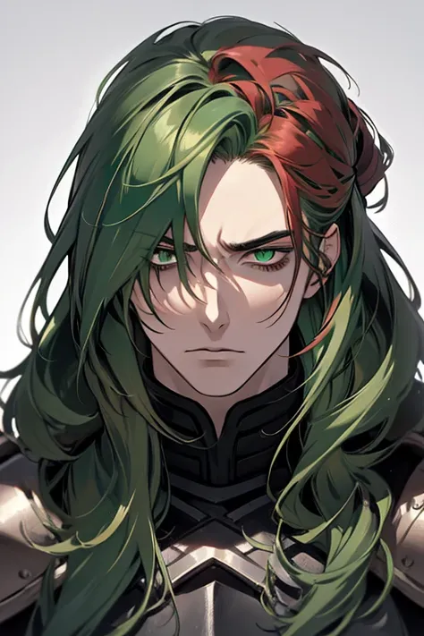 ((masterpiece)), High quality, ((Adult face)), ((long hair)), complex parts, ((1 guy, One)), high, long hair, (((green hair))), hair gathered in a ponytail, ((Snake Eyes,)), Leather Armor, Black clothes, ((irritated face)).