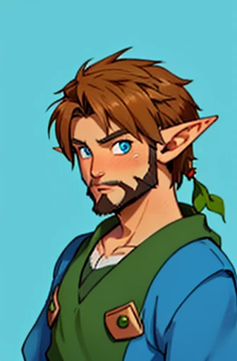 Link Elf Male Adult , Small Beard  , Brown hair, blue pupils , 