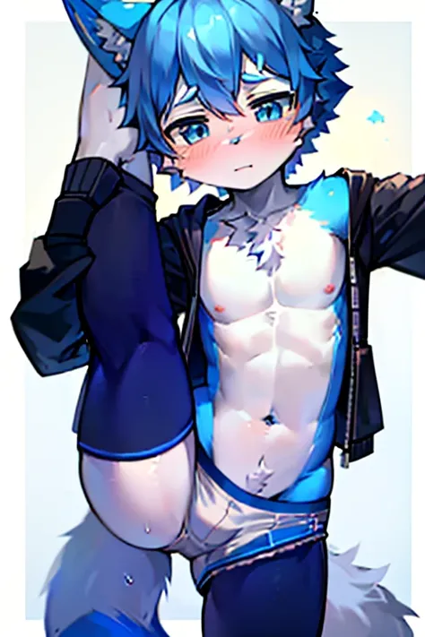 1 boy, Wolf,young people，Blue fur, young people, blue eyes, Messy hair, blue white hair, short hair, masterpiece，Topless，Plain white briefs，blush