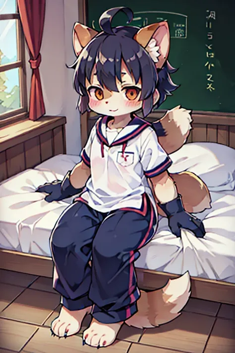 Scalpel, raccoon dog, Furry, Beastman, animal hair, tail, Sailor suit, Short sleeve, Jersey pants, Long trousers, gloves, barefoot, School, Primary school students, Physical examination, bed