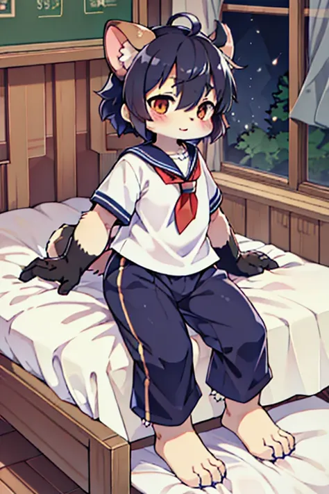 Scalpel, raccoon dog, Furry, Beastman, animal hair, tail, Sailor suit, Short sleeve, Jersey pants, Long trousers, gloves, barefoot, School, Primary school students, Physical examination, bed