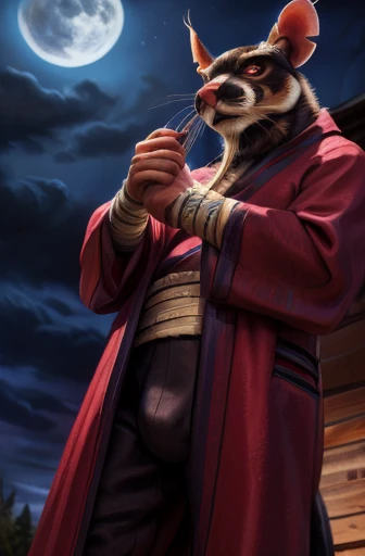 low-angle view,
standing, night, moonlight, clothed, kimono, red kimono, rat tail, red eyes, goatee, brown body, white fur, black fur, bandages, safe,
(master splinter:1.2), looking at viewer, front view, solo, topwear, bottomwear, bulge
BREAK,
by bruteand...