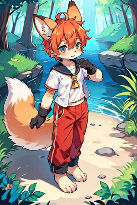 male, Fox, Furry, Beastman, Animal hair, tail, Sailor suit, Short sleeve, Jersey pants, Long trousers, gloves, barefoot