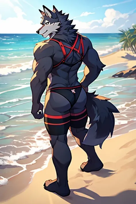 Male furry wolf character; wearing black bra, panties and long striped stockings at the beach, looking back wards