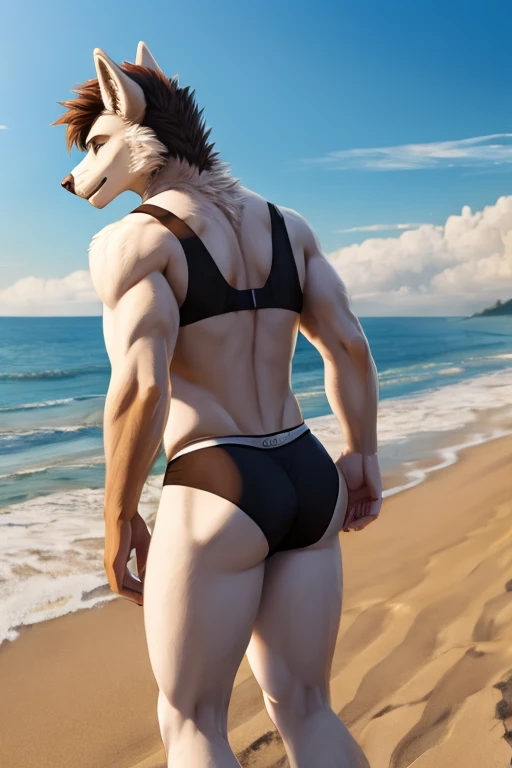 Male furry wolf character; wearing black bra, panties and long striped stockings at the beach, looking backwards