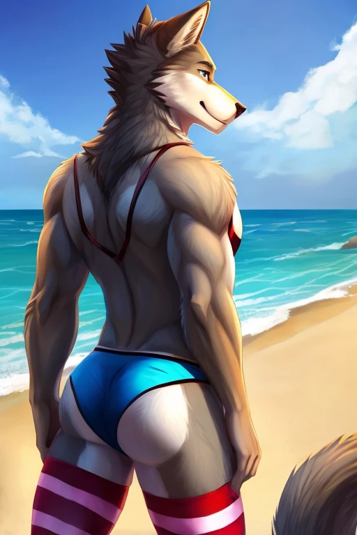 Male furry wolf character; wearing bra, panties and long striped stockings at the beach, looking backwards