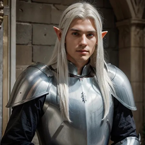 Elf knight male with steel armor and long white hair early thirties 