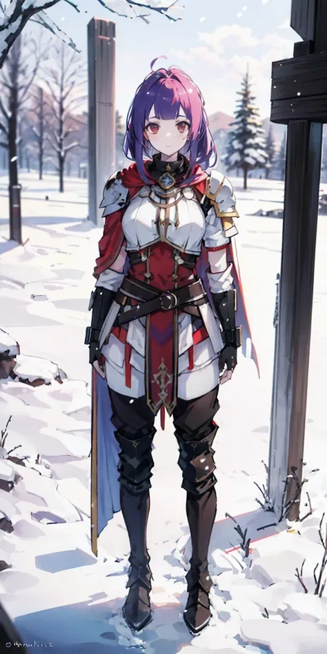 full body standing straight symmetrical, FEMALE warrior princess, big belt around waist, hair, very white skin like snow, wearing full heavy armor red cape, brown leather boots, adventurer outfit, veteran warrior