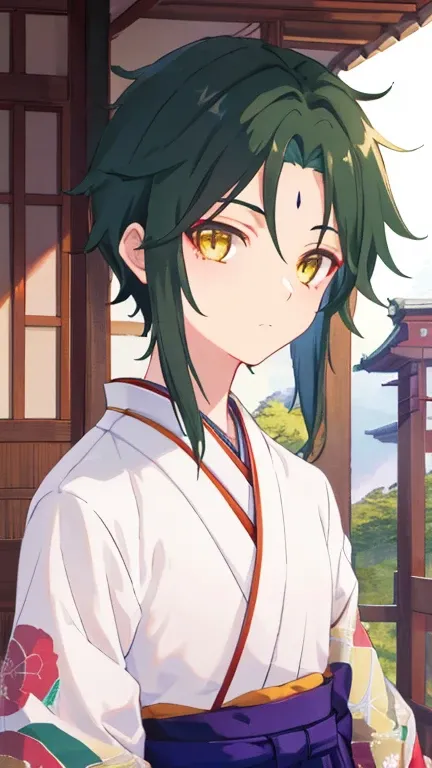 1 boy,dark green hair,highest quality,masterpiece,excessive,male focus,yellow eyes,beautiful eyes,beautiful boy,Family crested Hakama,Japan Kimono,kimono,Hakama,Crisp eyes