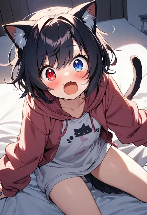 girl,hoodie,On the bed,Excited,Heterochromia Red Eyes Blue Eyes,Flat Chest,Cat ear,Feline tail,boy,cute,Cat ear,Cat&#39;s Tail,dick,play sex