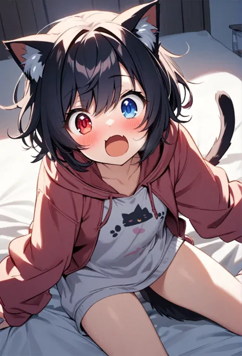 girl,hoodie,On the bed,Excited,Heterochromia Red Eyes Blue Eyes,Flat Chest,Cat ear,Feline tail,boy,play sex