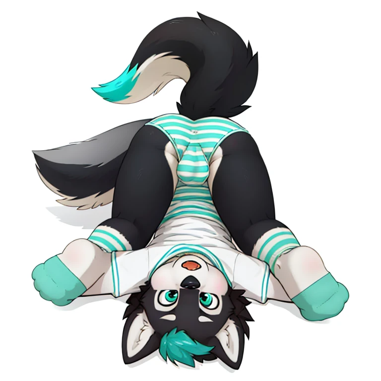 Anthropomorphic young 8 year old male fat black wolf, twirl tail, fullbody view, solo, lying on floor, white background, digital art, lifting his shirt, seen from the back, wearing a teal t-shirt and long teal socks with white stripes and teal panties, wit...