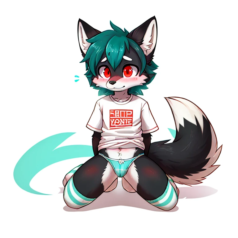 Anthropomorphic youn 8 year olf male black fox, red eyes, twirl tails, fullbody view, solo, on knees, white background, digital art, lifting his shirt, different views, wearing a teal t-shirt and long teal socks with white stripes and teal panties, looking...