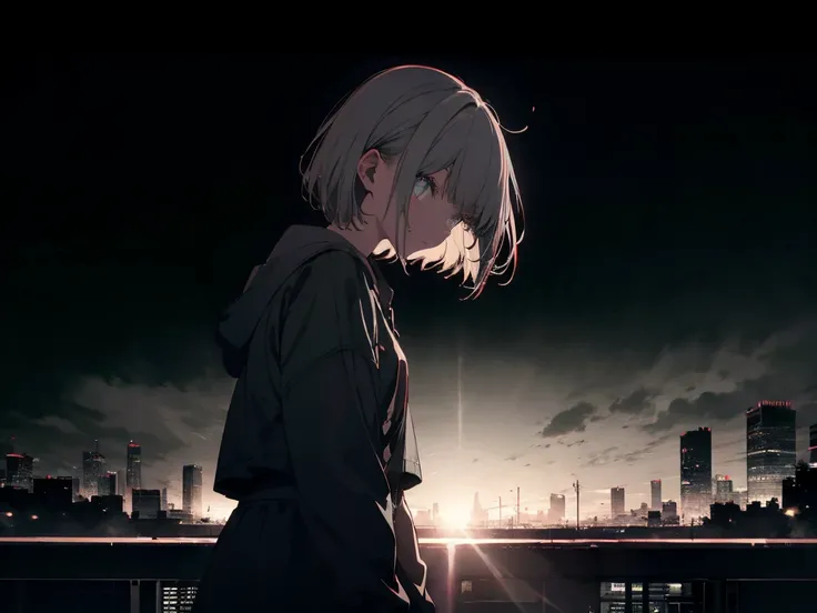 masterpiece, highest quality, High resolution, One Girl, alone, bangs， Faded tones, Monochrome, Cool girl, 長いbangs, hipster, Gray Hair, Full Body Shot, Monochrome, Detailed face, Beautiful Eyes, black, green, Large blurry background, Rooftop at dawn,  Look...