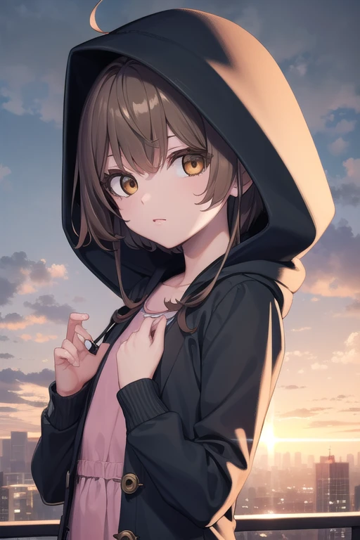 pokemongloria, pokemongloria, (brown eyes:1.5), brown hair, medium hair, (small breasts:1.2),
BREAK cardigan, dress, green headwear, grey cardigan, hood, hood down, hooded cardigan, long sleeves, pink dress, short dress,
BREAK looking at viewer, (upper bod...