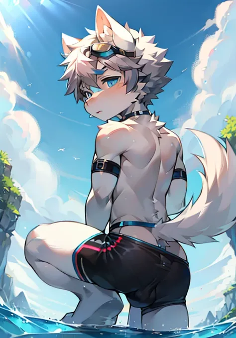 Furry，pony boy，White fur，crystal blue eyes，Single fluffy tail，greyt hair，short detailed hair，summer day，dive，Wear diving goggles，masculine features，back，Squat，asshole，bulge，((Anus))