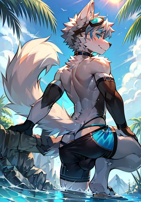 Furry，wolf boy，White fur，crystal blue eyes，Single fluffy tail，greyt hair，short detailed hair，summer day，dive，Wear diving goggles，masculine features，back，Squat，asshole，bulge，((Anus))，full body