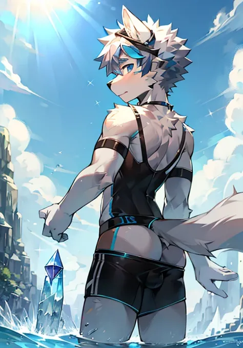 Furry，wolf boy，White fur，crystal blue eyes，Single fluffy tail，greyt hair，short detailed hair，summer day，dive，Wear diving goggles，masculine features，back，Squat，asshole，bulge，((horsepenis))