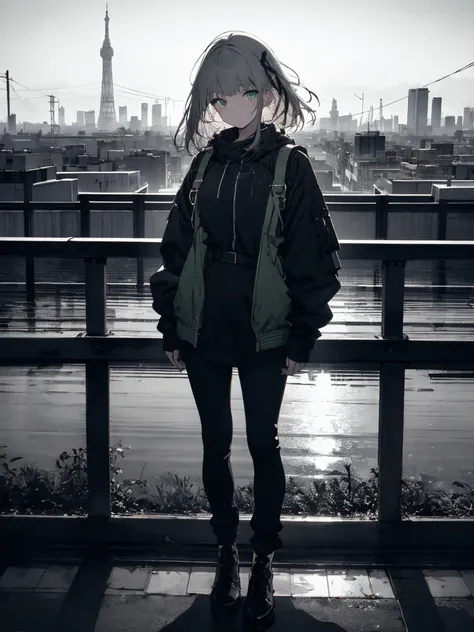 masterpiece, highest quality, High resolution, One Girl, alone, bangs， Faded tones, Monochrome, Cool girl, 長いbangs, hipster, Gray Hair, Full Body Shot, Monochrome, Detailed face, Beautiful Eyes, black, green, Large blurry background, Rooftop at dawn, Looki...