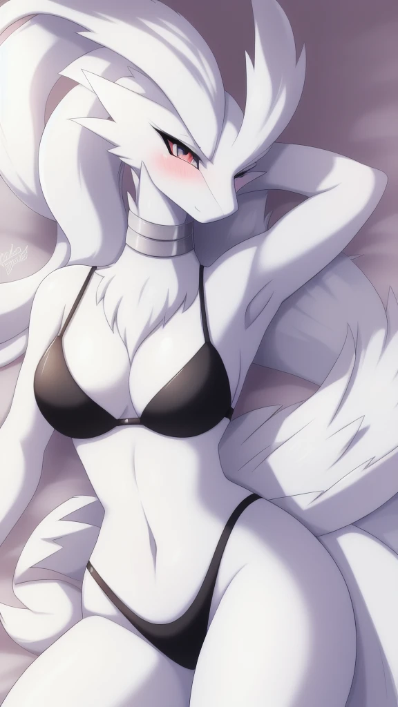 Reshiram,furry,Chest 87,Waist 57,Thigh 86,Good resolution,lying on the bed,black bikini,Good light and shadow details,shade,sexy body,blushing