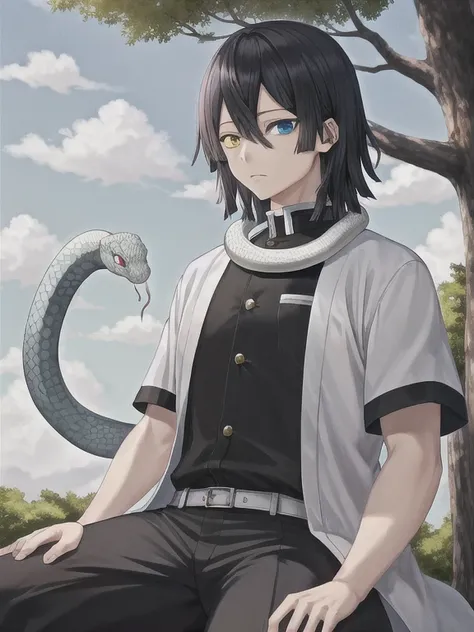 1 chico, serpiente, heterochromia, pelo negro, enfoque masculino, serpiente, tree, ojos amarillos, al aire libre, blue eyes, ropa japonesa, pantalones negros, pelo entre los ojos, mangas anchas, mangas largas, cielo, uniforme de cazador de demonios, chaque...