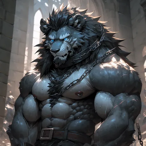 Sweaty, muscular, shirtless, dark castle, anthropomorphic chest hair, serious face（Scar on face） Mature （Blue eyes）Huge muscular torn abs wild wearing nipple rings and collars prisoner collars linked to chains and buckles ambitious black lion