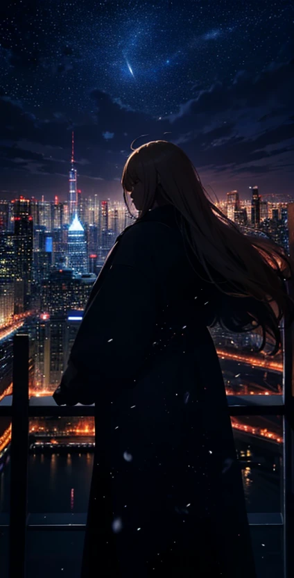 １people々々々々々々々々々々々々々々,Blonde long-haired woman，Long coat， Dress Silhouette， Rear View，Space Sky, comet, Anime Style, City night view from the rooftop，A pillar of light stretching into space，