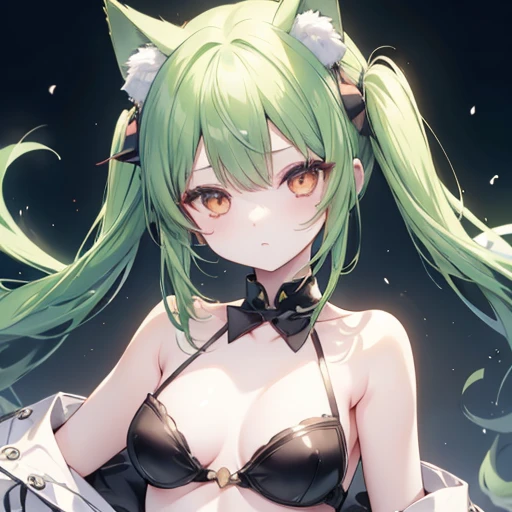 One girl、Green Hair、Black cat ears、Red Eye、Small breasts、first round、