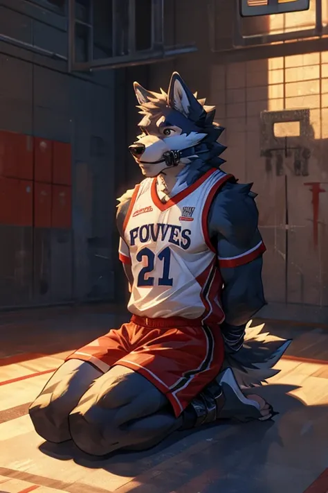 wolf, furry, alone, basketball uniform, gagged, hands tied behind his back, feet tied, sitting on the floor, torture, ball aside, ultra detailed