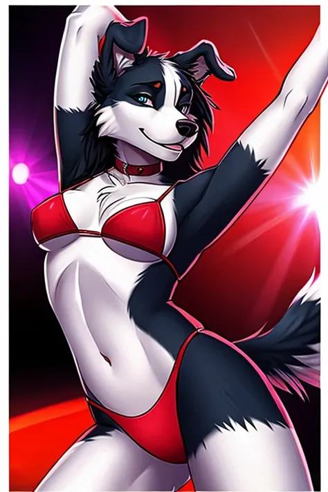 border collie stripper bikini dancing 