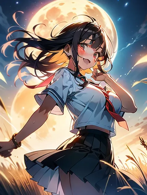 In 8K、highest quality、masterpiece、Ultra-detailed、Ultra-high resolution、Anime Style、1. High school girl、uniform、Pampas grass field、full moon、moonlight、Check skirt、Skirt fluttering in the wind、dance、fun、sweating、Big Breasts