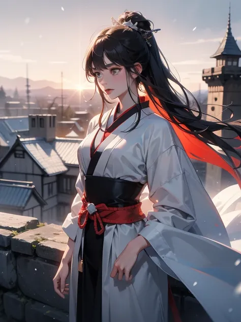 masterpiece, best quality, (Very detailed CG unit 8k wallpaper) (best quality), (Best Illustration), (Best shadow) (male), Wolf on the cliff, View of Ashina Castle, Feudal Japan, Ray tracing, Harsh environment, Super detailed, , Impressionist style--v6 Ela...