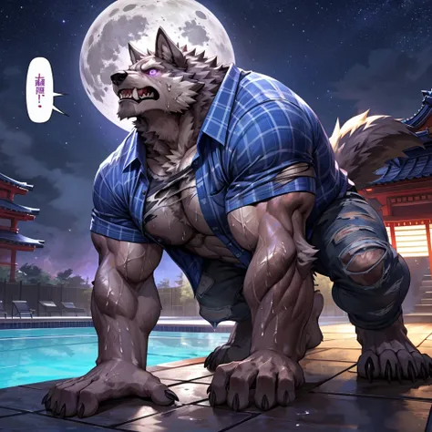 masterpiece,high quality,anime, ultra detailed
, Digital, (Check shirt:1.3), (Torn Shirt, Torn Pants:1.2) , On all fours, Claws scratching the ground, Show off your teeth, Wolf, great physique,Strong arms, manly, (((Excessive sweating)))
, Painful eyes, Pa...